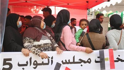 الهيئة الوطنية تعلق على واقعة توزيع بطاقات على الناخبين خارج لجنة شبين الكوم 