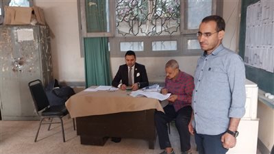 توافد أهالي دار السلام بسوهاج على لجان انتخابات النواب (فيديو وصور)