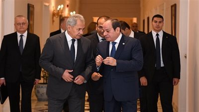 6 رسائل قوية من السيسي لـ أمين مجلس الأمن الروسي