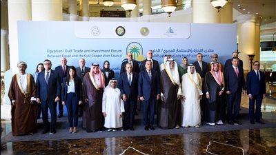 وزير الخارجية: التعاون الاقتصادي بين مصر ودول الخليج ركيزة لتعزيز الأمن القومي العربي