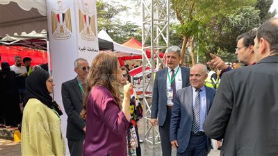 وفد المنظمة العربية لحقوق الإنسان يتابع العملية الانتخابية بلجنة جمال عبد الناصر بالدقي