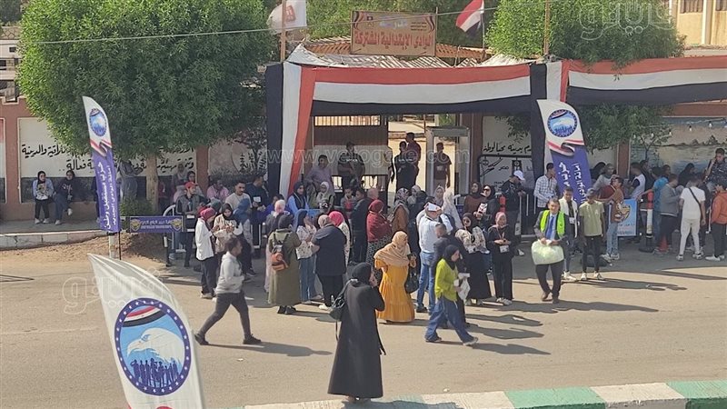 انتخابات النواب بالوادي