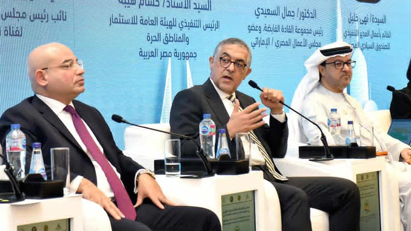 حسام هيبة، الرئيس