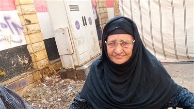 انتخابات النواب 2025، سيدات قحافة بالفيوم يشاركن في التصويت 