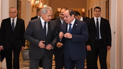  تفاصيل لقاء السيسي وأمين مجلس الأمن الروسي(فيديو)