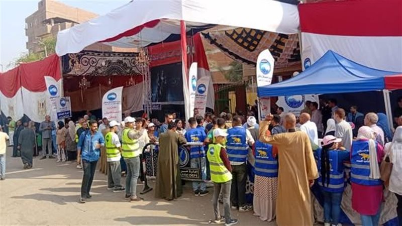 لجان اسيوط،فيتو 