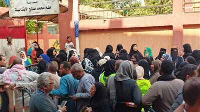 محافظ أسوان يتابع انتخابات النواب ويشيد بإقبال المواطنين على التصويت 