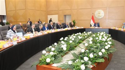 وزير الكهرباء: 267 مليار كيلو وات ساعة طاقة مولدة لخدمة 45 مليون مشترك 