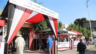 مصادر: انتهاء استعدادات الداخلية لتأمين المرحلة الثانية من انتخابات مجلس النواب 2025