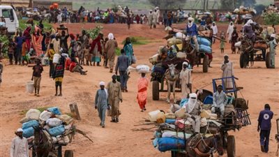 هيئة محامي دارفور تتهم الدعم السريع بارتكاب مذابح الفاشر