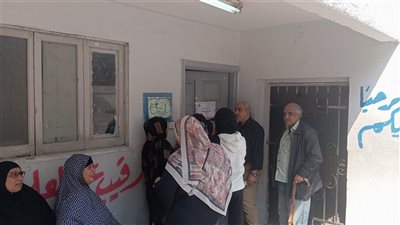 انتخابات النواب، إقبال كبير من الناخبين على لجان مدرسة أبو الهول القومية بالجيزة (فيديو)