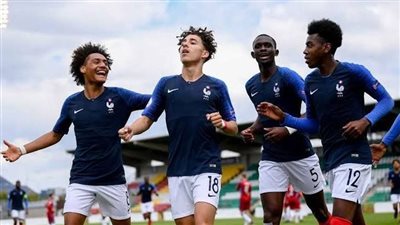 ثنائي خارج مباراة فرنسا الختامية في التصفيات المونديالية