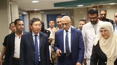 محافظ شمال سيناء يرافق السفير السنغافوري في جولة داخل مستشفى العريش العام
