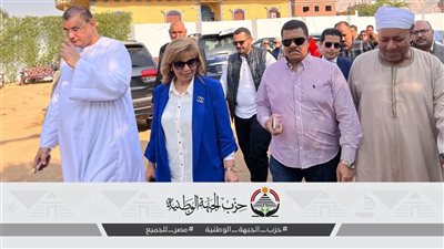 الائتلاف المصري: تواجد ممثلي الأحزاب في عدد من لجان الإسكندرية والبحيرة والفيوم وبني سويف