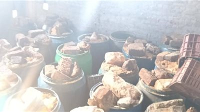 ضبط 12 طن فسيخ غير صالح للاستهلاك الآدمي بفوه في كفر الشيخ 