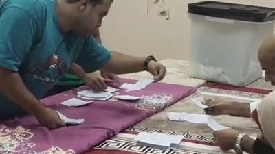 الحصر العددي للأصوات بالدائرة الرابعة في الإسكندرية بانتخابات مجلس النواب
