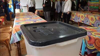 الحصر العددي لأصوات الناخبين بمجلس النواب بدائرة 