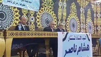  الحصر العددي لأصوات الناخبين بدائرة «ناصر والواسطى» ببني سويف