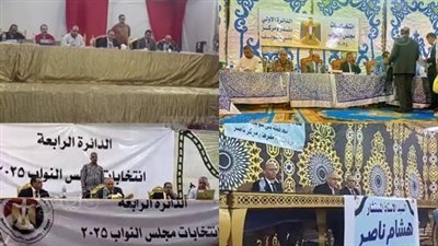 الحصر العددي لأصوات الناخبين بداوئر النظام الفردي في النواب ببني سويف