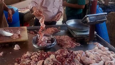 تموين القليوبية يحرر 131 مخالفة ويضبط سلعا فاسدة تهدد صحة المواطنين