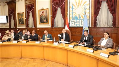 محافظ القاهرة: كراسي متحركة لذوي الاحتياجات الخاصة باللجان الانتخابية