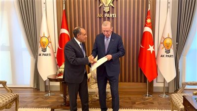 بدر عبد العاطي يسلم أردوغان رسالة خطية من الرئيس السيسي 