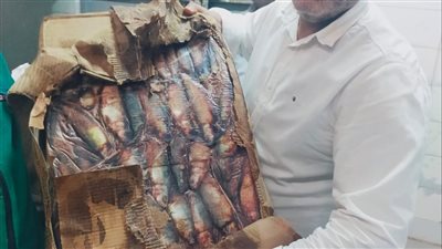 ضبط 2 طن دواجن ولحوم مجمدة مجهولة المصدر وغير صالحة للاستهلاك بالقليوبية