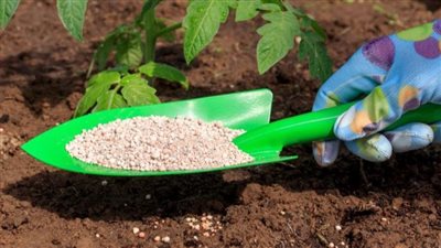 ارتفاع اليوريا العادي 1021 جنيها، أسعار الأسمدة اليوم في الأسواق
