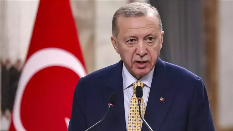 أردوغان، فيتو