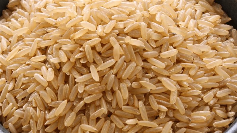 سعر الارز