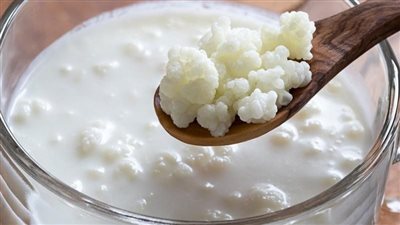 ما هو لبن الكيفير وفوائده الصحية؟ 