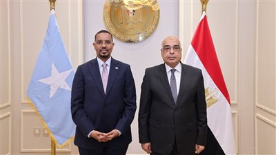 وزير العدل يبحث التعاون القضائي مع نظيريه الصومالي والسوري