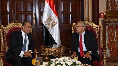 تفاصيل لقاء رئيس مجلس الشيوخ ووزير الخارجية 