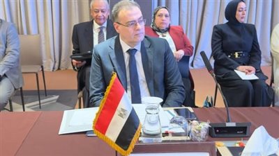  توصيات مصر لتعزيز التكامل العربي في مجالات التنمية الإدارية 