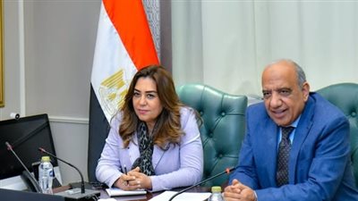 وزيرا الكهرباء والبيئة يبحثان جهود الحد من الانبعاثات الكربونية