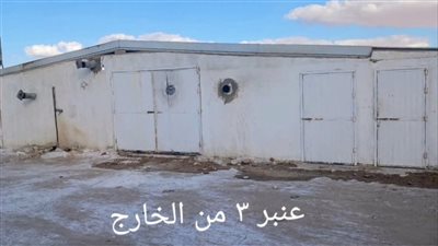 بعد المعاينة، تجديد تراخيص 9 محطات لتسمين الدواجن بالواحات البحرية