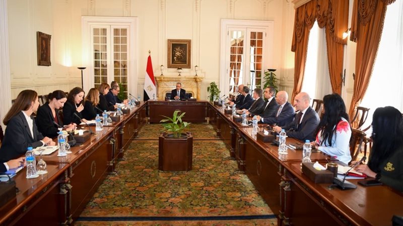 لقاء وزير الخارجية،