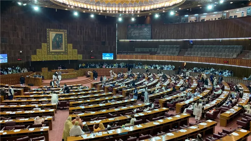 برلمان باكستان، فيتو