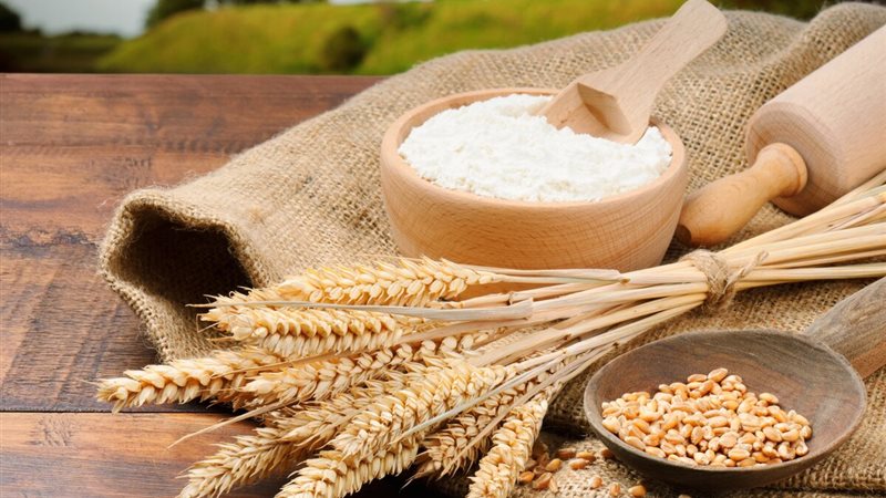 أسعار القمح والدقيق