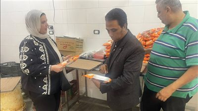 ضبط 3 أطنان لحوم ودواجن غير صالحة للاستهلاك الآدمي في الدقهلية 