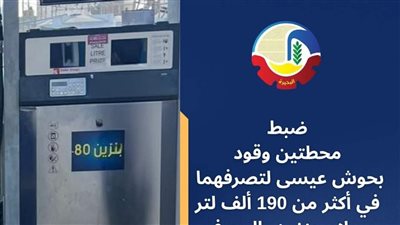ضبط محطتي وقود بالبحيرة لتصرفهما في 190 ألف لتر مواد بترولية بالسوق السوداء