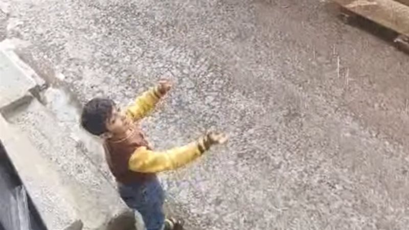 حالة الطقس غدا، فيتو
