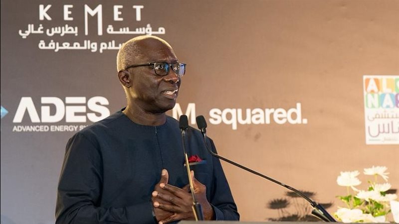 أداما ديانج، المستشار