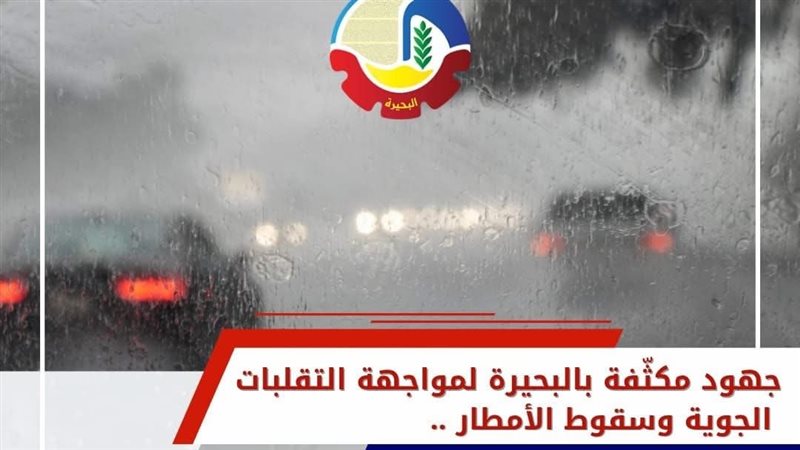 جهود مكثفة بالبحيرة