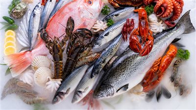 سعر السمك اليوم، انخفاض الجمبري وقشر البياض والبلطي الوسط يبدأ من 50 جنيها