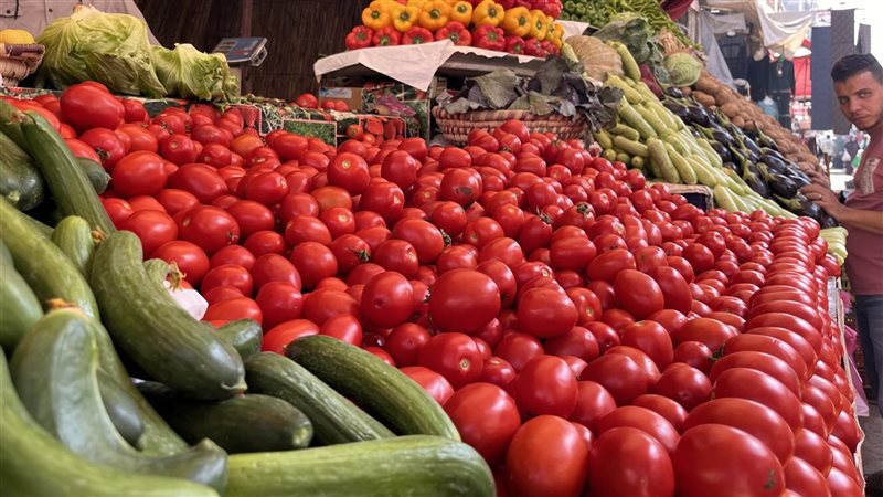 اسعار الخضروات بالبحيرة،