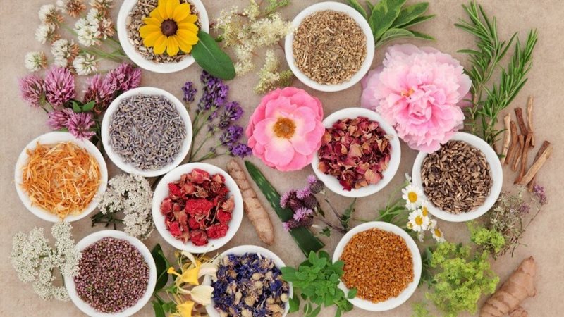 أعشاب تنظّم الهرمونات