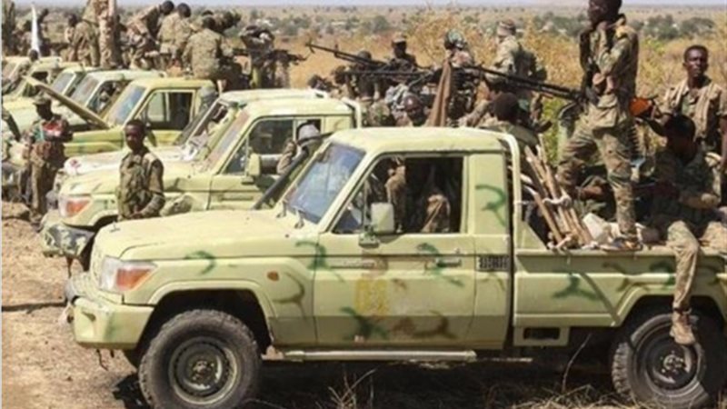 السودان، فيتو