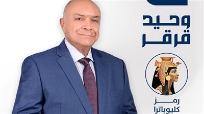 وحيد قرقر مرشح القائمة الوطنية بالدقهلية: الأولوية لاستكمال ملفات الصحة والتعليم والإيجار القديم