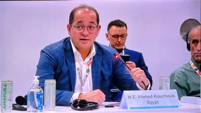 وزير المالية: نتطلع لدور أكبر للمؤسسات الدولية في التمويل الأخضر الميسر.. ويطلب الوفاء بالتعهدات المناخية بـ 1.3 تريليون دولار لتمويل المناخ.. ويبرز أهمية إصلاح الهيكل المالي العالمي